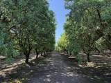 15500 Rd 200 - Photo 11