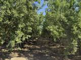 15500 Rd 200 - Photo 2