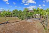 31731 Mill Drive - Photo 117