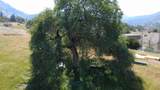 0 Lupine Drive - Photo 13