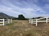 0 Lupine Drive - Photo 6