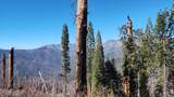55058 Redwood Drive - Photo 1