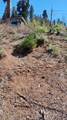 55058 Redwood Drive - Photo 10