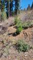 55058 Redwood Drive - Photo 11