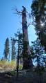 55058 Redwood Drive - Photo 14