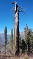55058 Redwood Drive - Photo 2