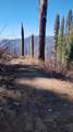 55058 Redwood Drive - Photo 3