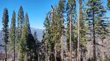 55058 Redwood Drive - Photo 4