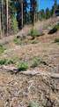 55058 Redwood Drive - Photo 6