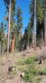 55058 Redwood Drive - Photo 7