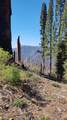55058 Redwood Drive - Photo 9