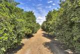 41640 Road 120 - Photo 37