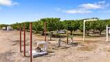  Hanford Armona Road - Photo 8