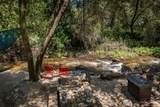 43195 Fork Drive - Photo 37