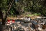 43195 Fork Drive - Photo 38