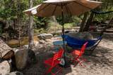 43195 Fork Drive - Photo 39