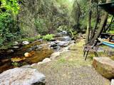 43195 Fork Drive - Photo 4