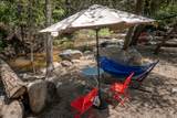 43195 Fork Drive - Photo 40