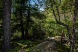 43195 Fork Drive - Photo 41