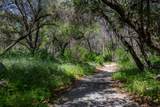 43195 Fork Drive - Photo 46