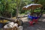 43195 Fork Drive - Photo 47