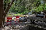 43195 Fork Drive - Photo 48