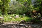 43195 Fork Drive - Photo 51