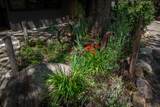 43195 Fork Drive - Photo 52