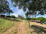 39569 Clover Lane - Photo 40