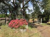 39569 Clover Lane - Photo 58