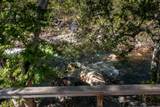 47993 Fork Drive - Photo 15