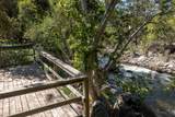 47993 Fork Drive - Photo 3