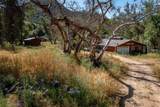 47993 Fork Drive - Photo 45