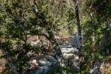 47993 Fork Drive - Photo 9