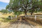 32491 Pleasant Oak Drive - Photo 3