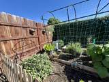 2350 Dollner Street - Photo 68