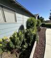 2350 Dollner Street - Photo 8