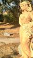 41830 Fork Drive - Photo 43