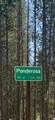 57464 Crest Drive - Photo 30