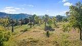 29478 Fallen Oak Road - Photo 65