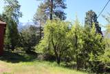 315 Grandview Drive - Photo 42