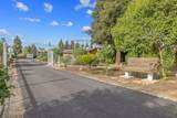 27906 Morgans Drive - Photo 57