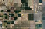  Wasco - Photo 12
