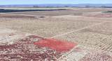 Wasco - Photo 7