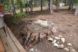 662 Trails End - Photo 33