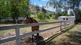 33341 Globe Drive - Photo 32