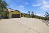 40070 Lilley Mountain Drive - Photo 40