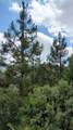 00 Mariposa Drive - Photo 17