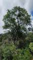 00 Mariposa Drive - Photo 18