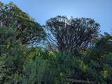 00 Mariposa Drive - Photo 28